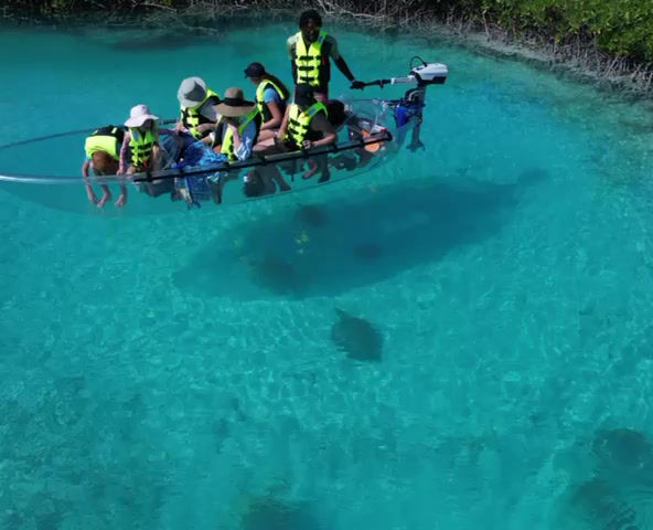 Motorized clear kayak tour in Turks and Caicos