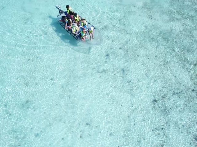 motorized clear kayak mangrove tour Turks and Caicos family friendly experience