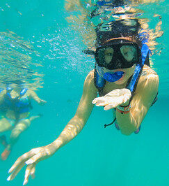 snorkeling clear boat experience photoshoot Turks and Caicos