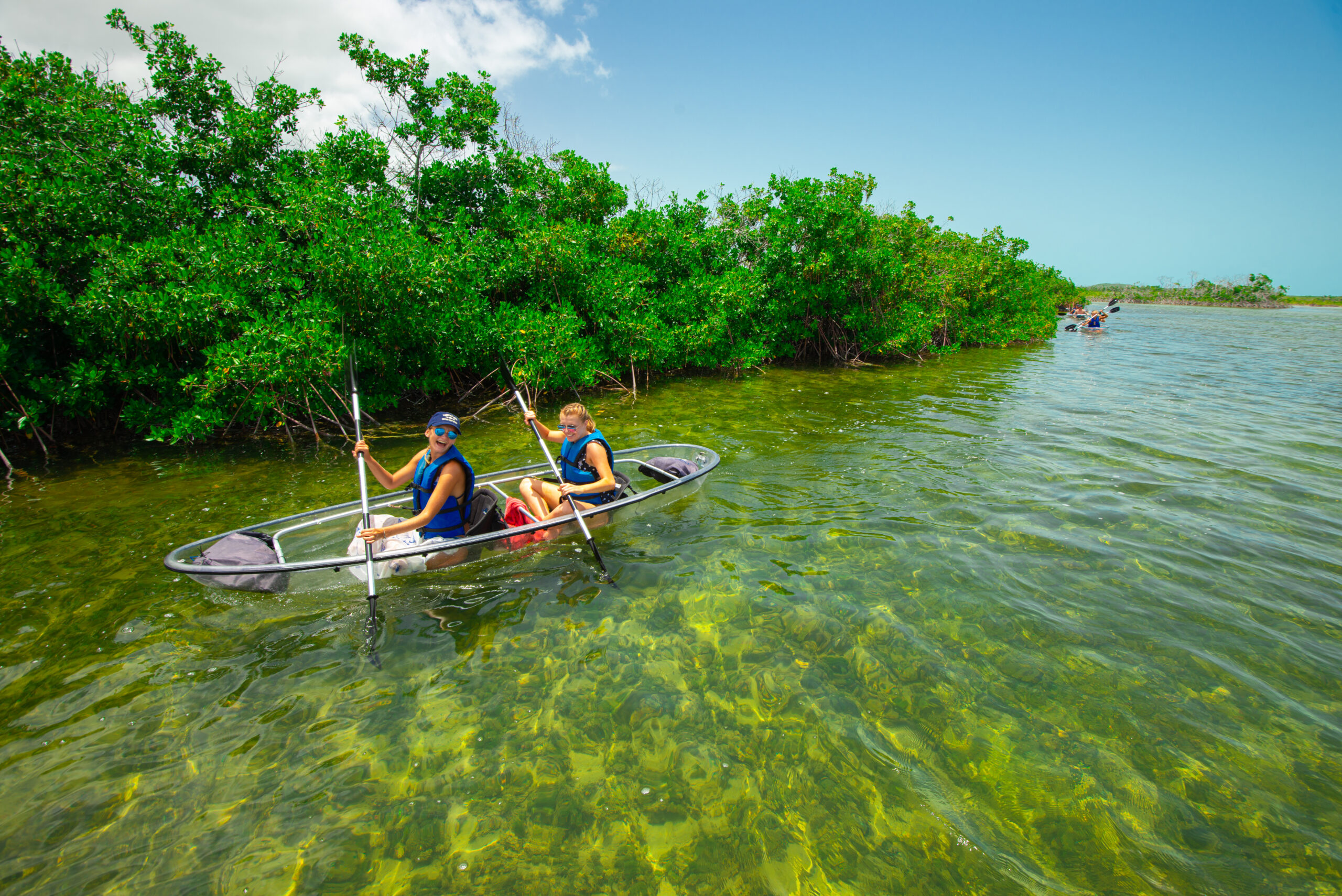 Guests paddling clear kayaks into the mangroves in Turks and Caicos