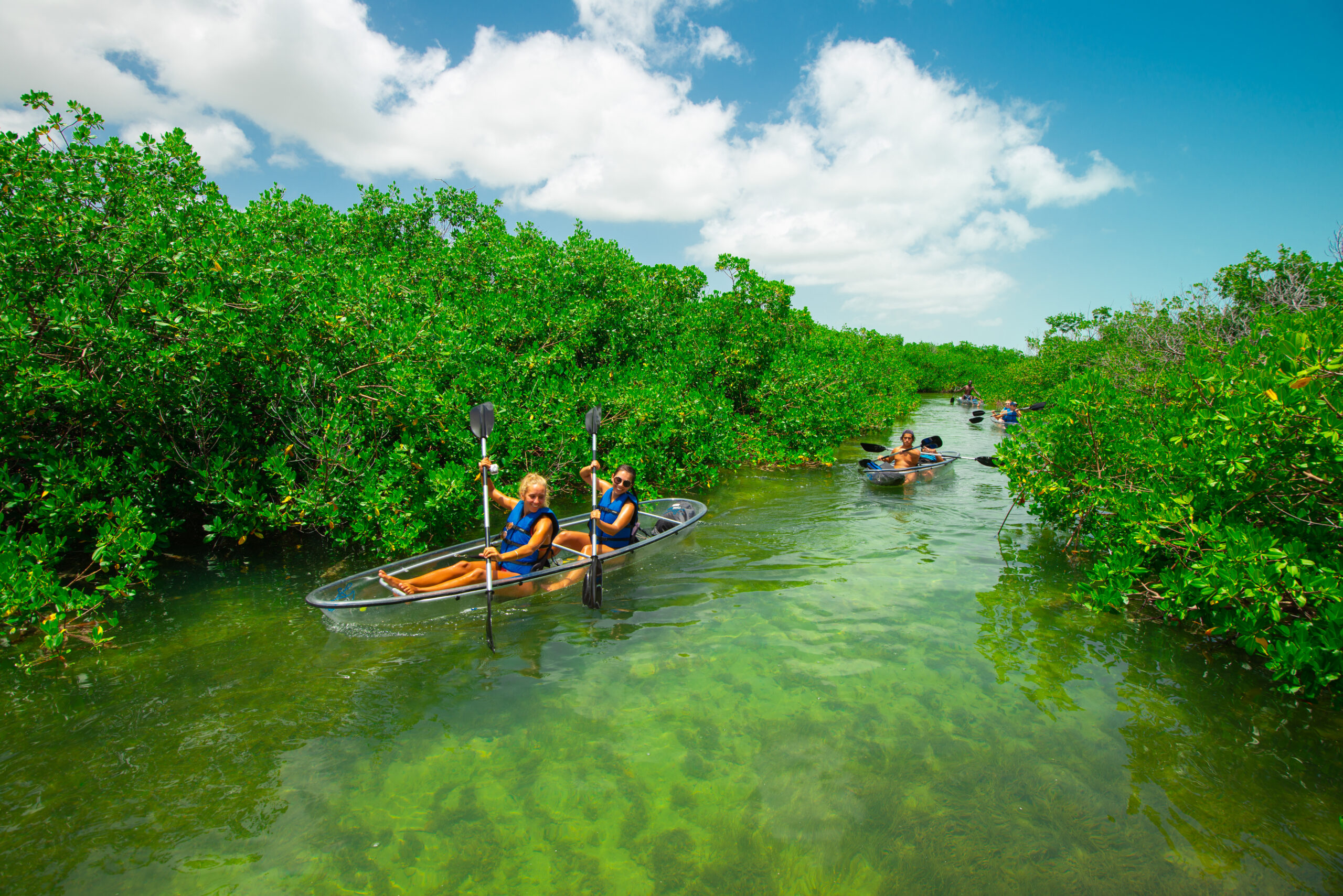 Clear kayak tour in Turks and Caicos through the mangroves