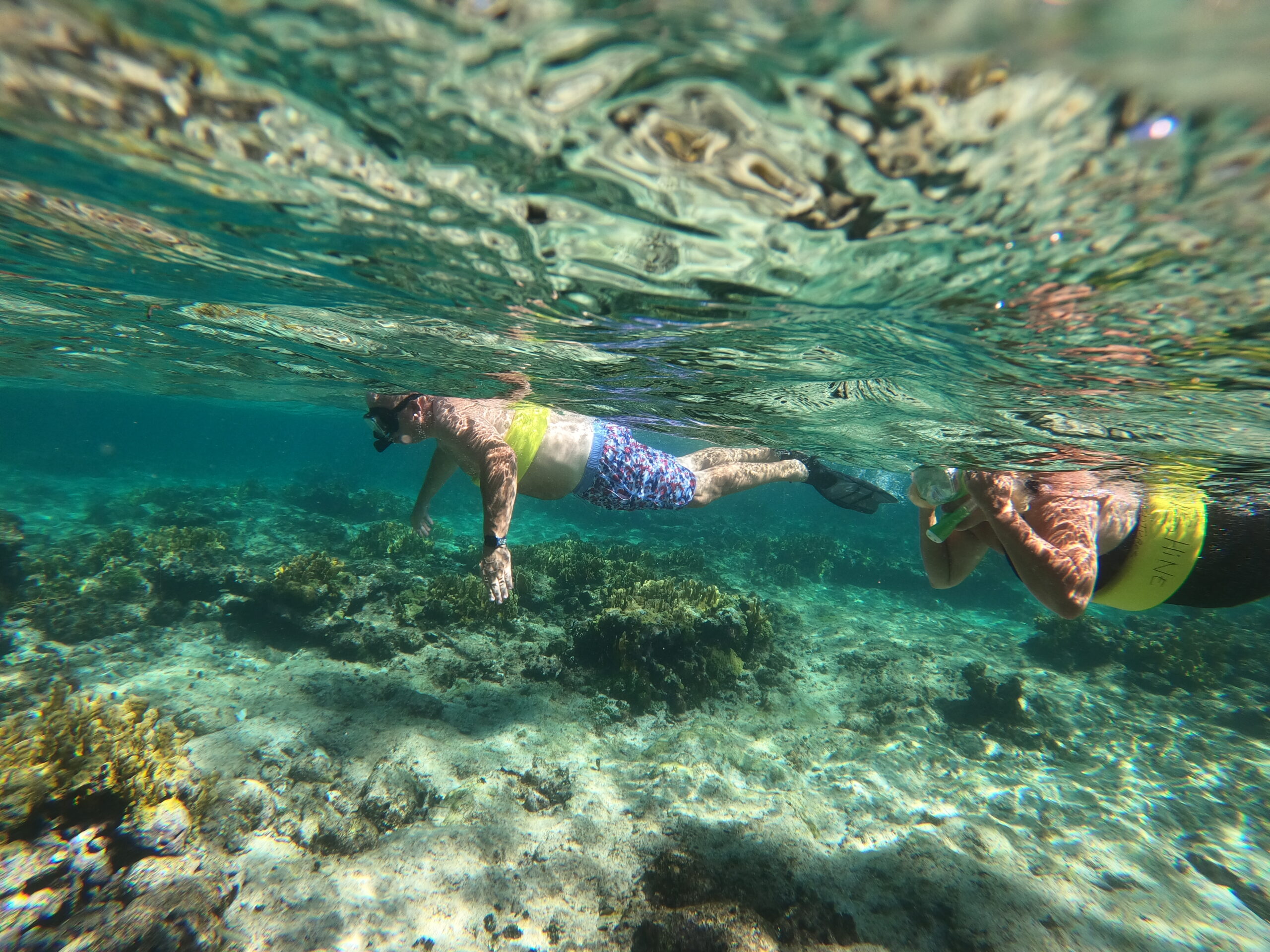 snorkel gear rental Turks and Caicos full face mask traditional mask fins life vest
