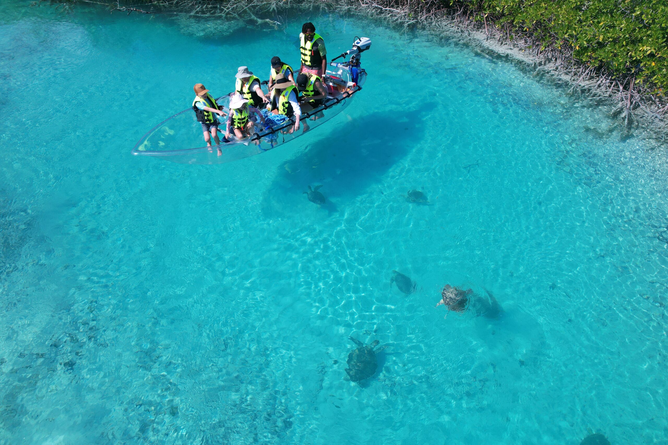 Guests pointing at turtles from the motorized clear kayak in Turks and Caicos