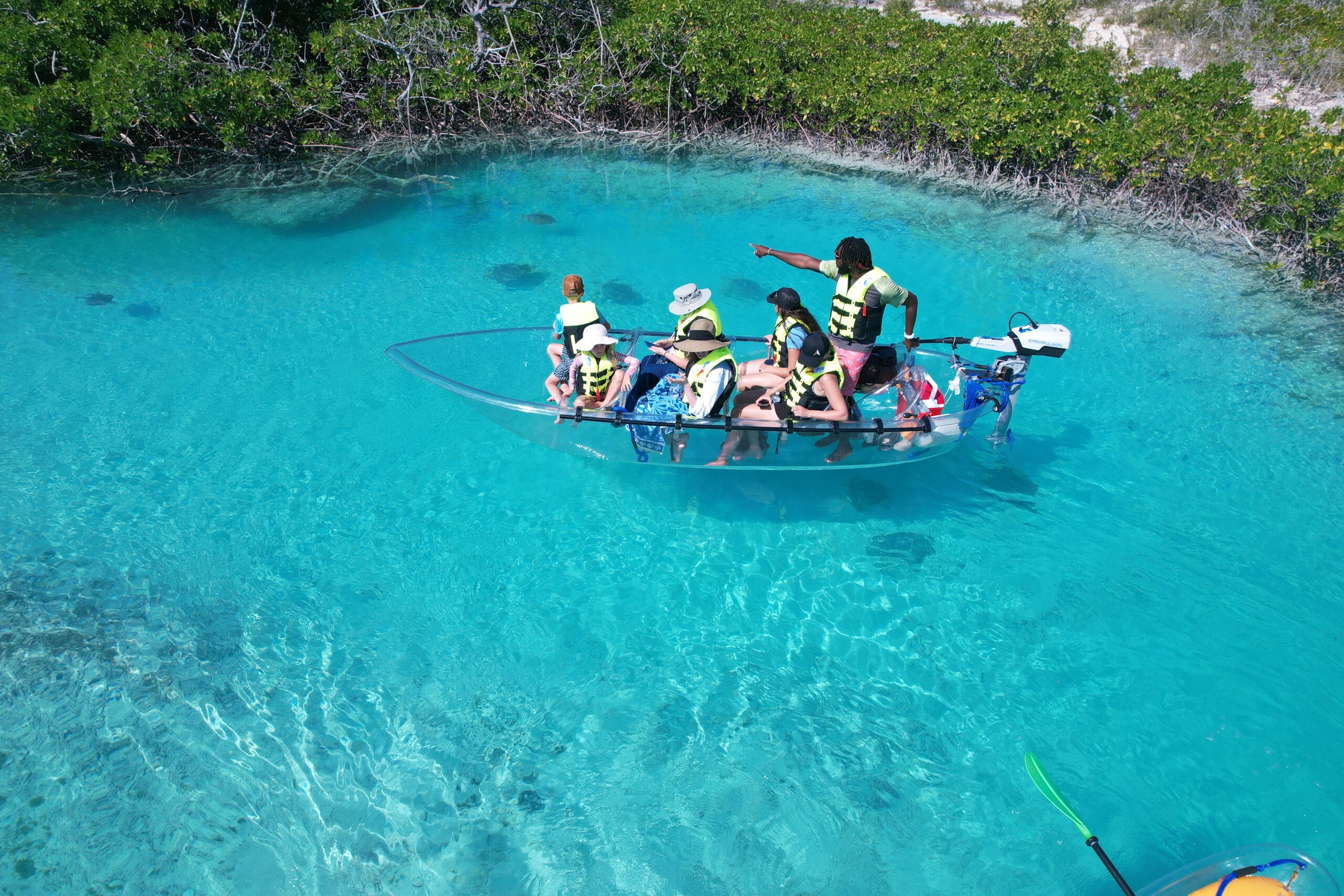 Clear Wave guide showing guests turtles beside the clear vessel