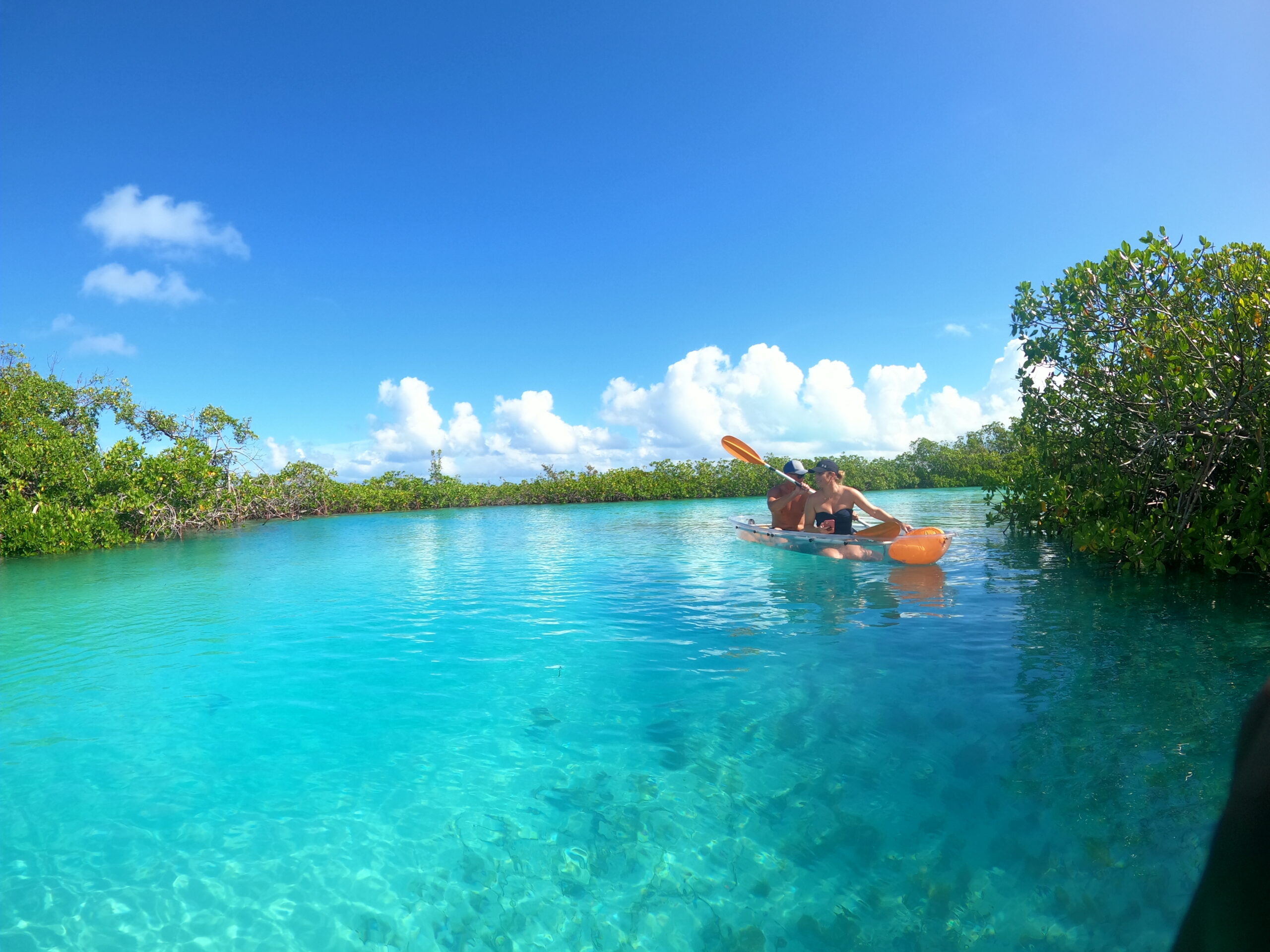 Clear Wave guests exploring the Mangrove Cay area by clear kayak