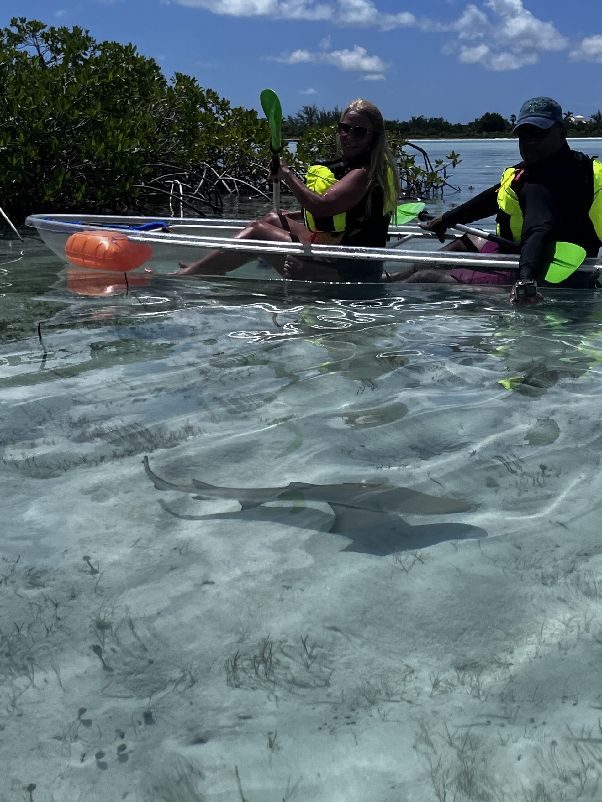 Guided clear kayak tour experience in Turks and Caicos