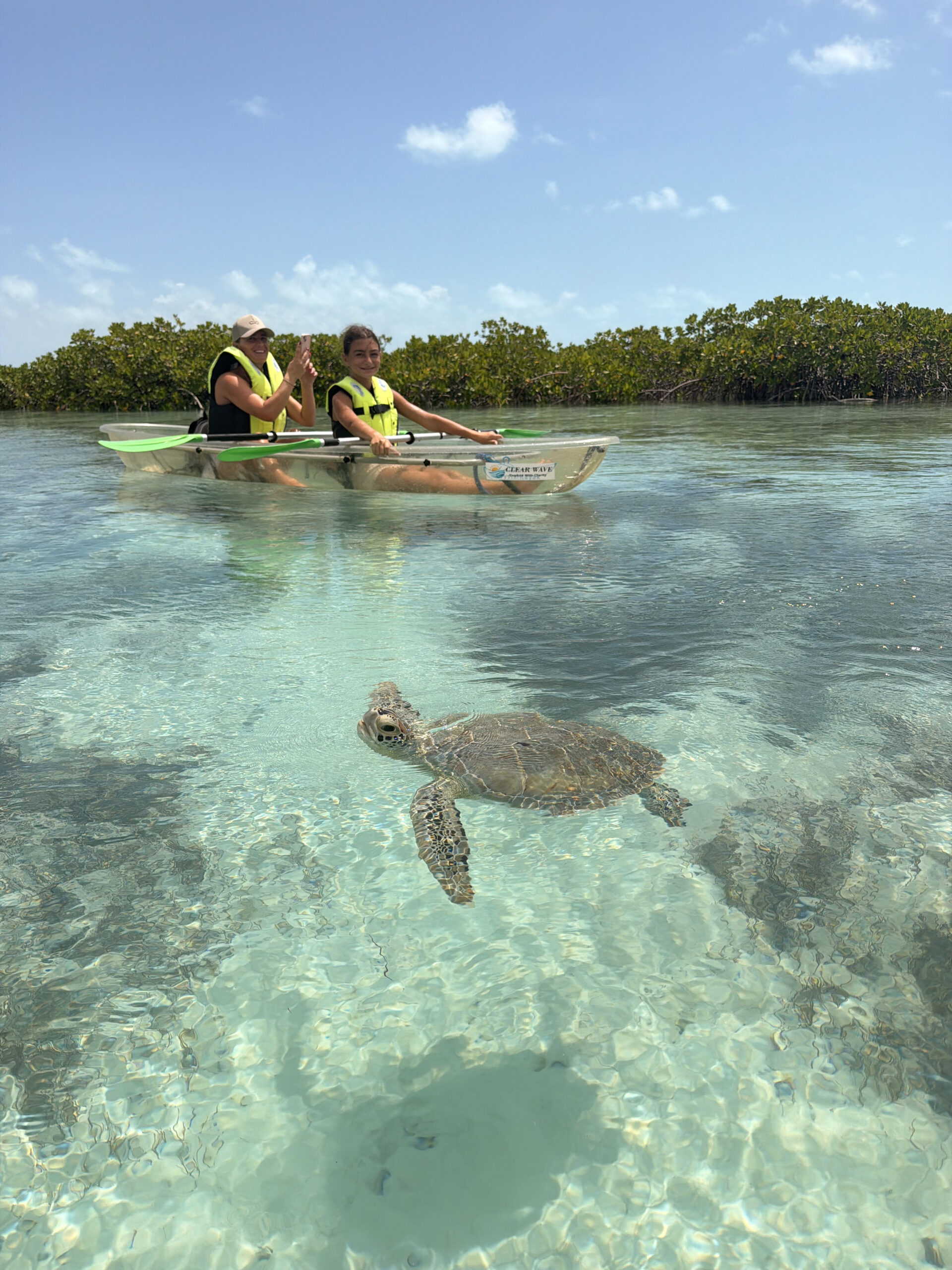 Guests paddling clear kayaks into the mangroves in Turks and Caicos